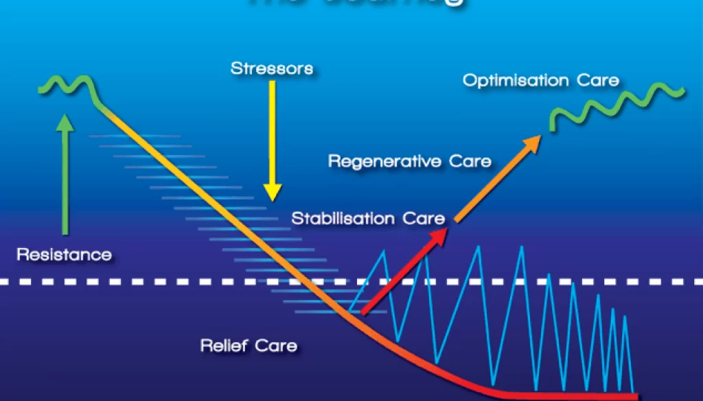 Phases of Care_blog