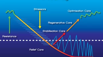 Phases of Care_blog